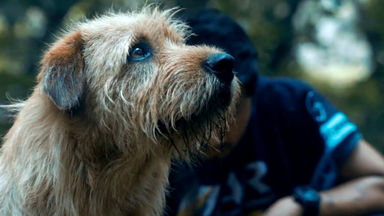 ARTHUR Una Amistad Sin Limites - Trailer